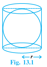 Page 123 Chapter 13 Class 9th NCERT Exemplar